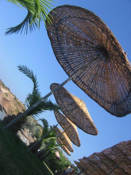 פוצ'ה Teras Motel מראה חיצוני תמונה