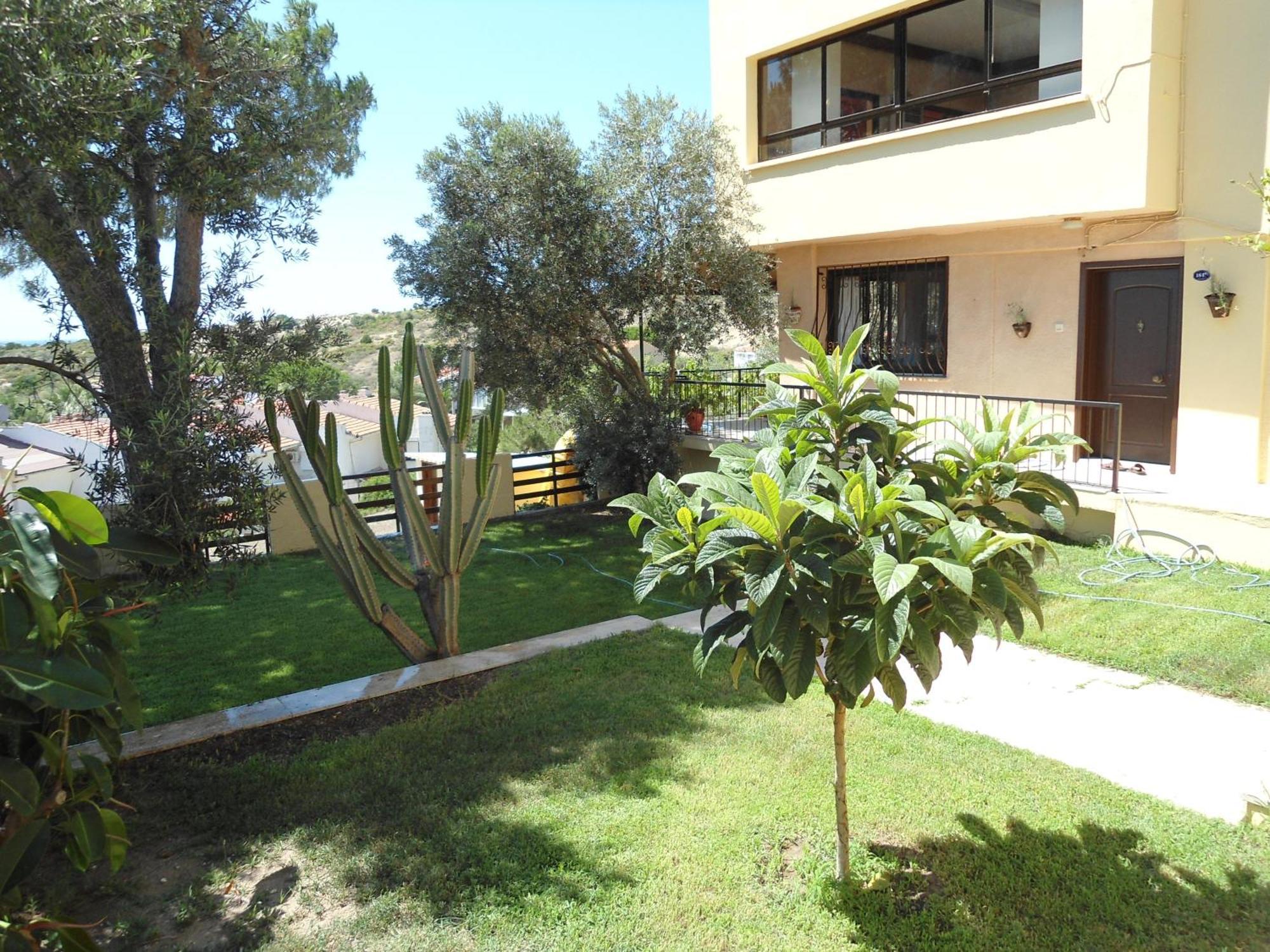 פוצ'ה Teras Motel מראה חיצוני תמונה