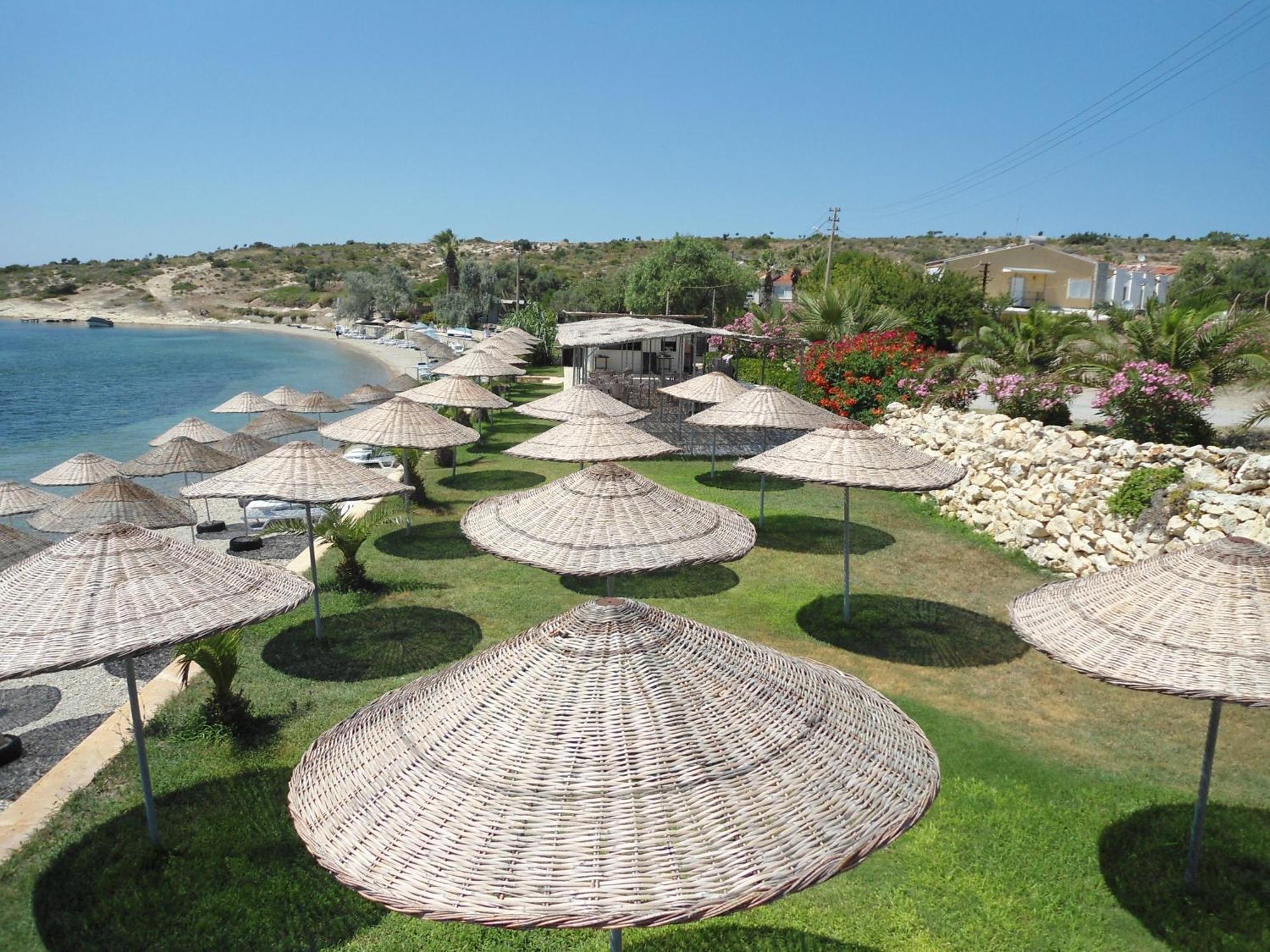 פוצ'ה Teras Motel מראה חיצוני תמונה