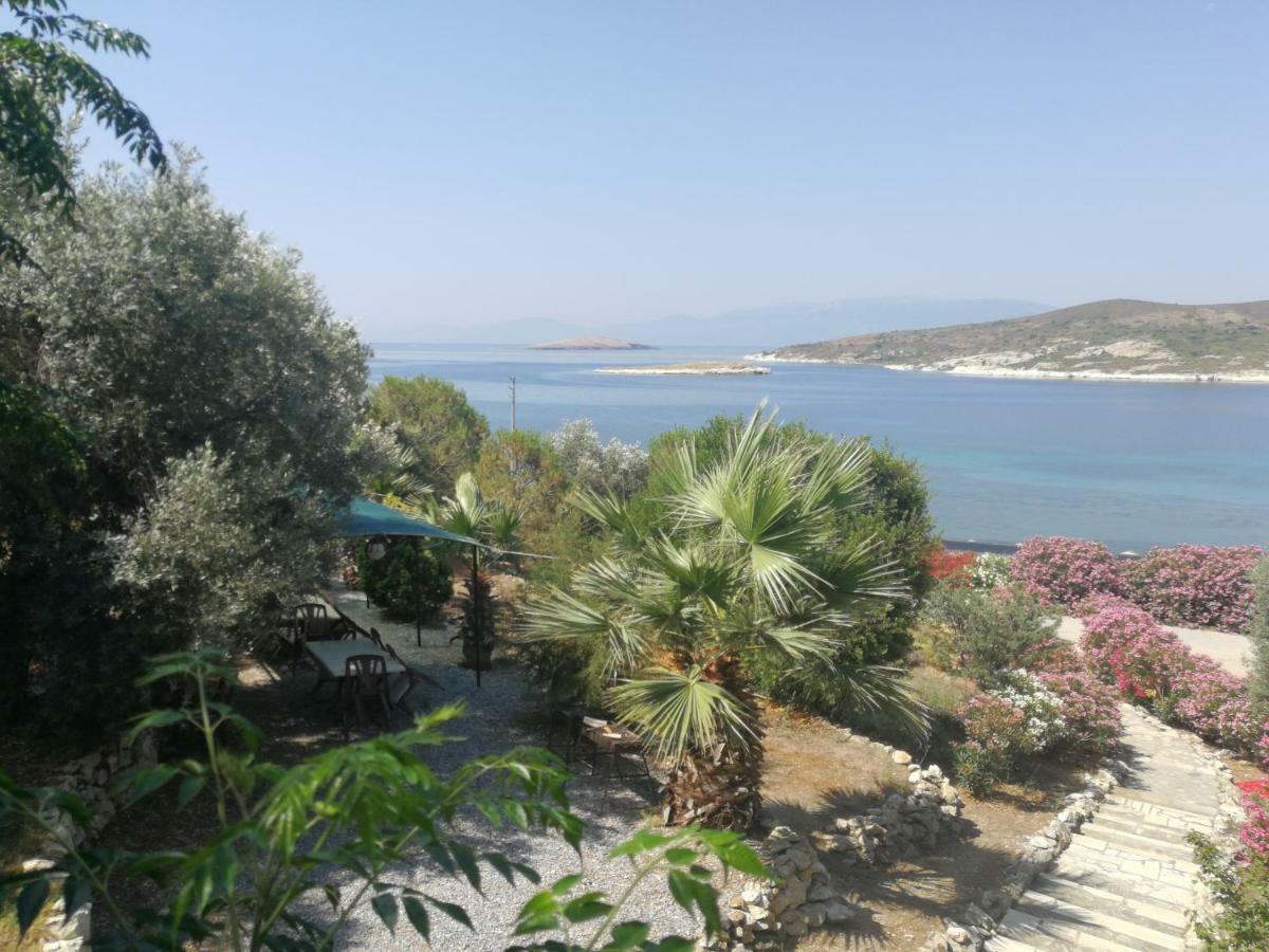 פוצ'ה Teras Motel מראה חיצוני תמונה